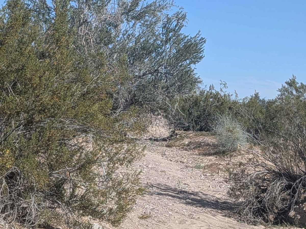 EC1168 trail photo