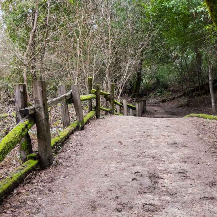 Near Meadow Trail Hike