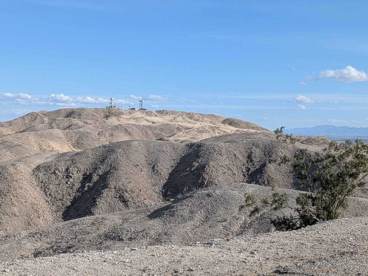 BLM 335 photo 2