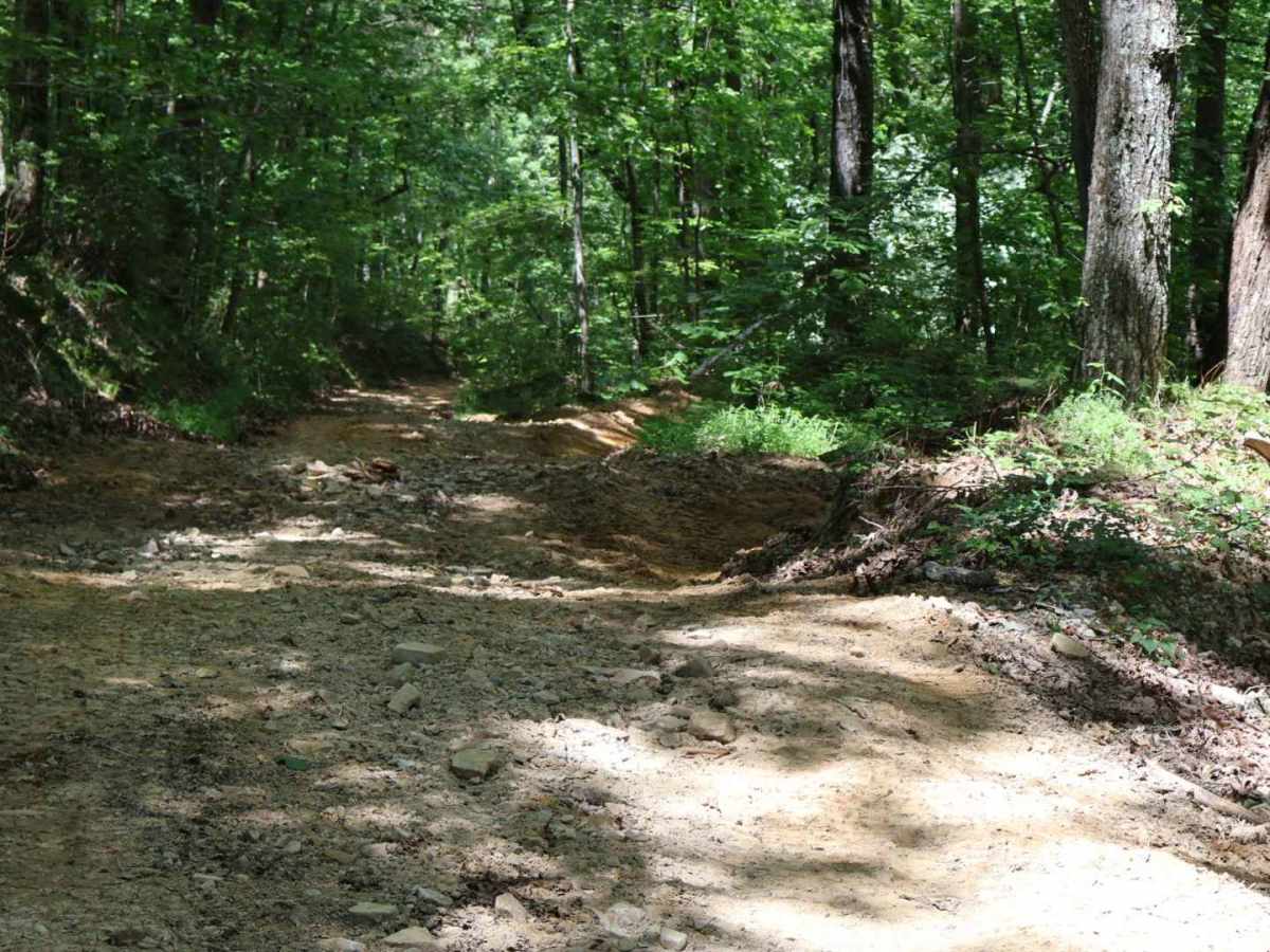 Inman Point Road photo 4