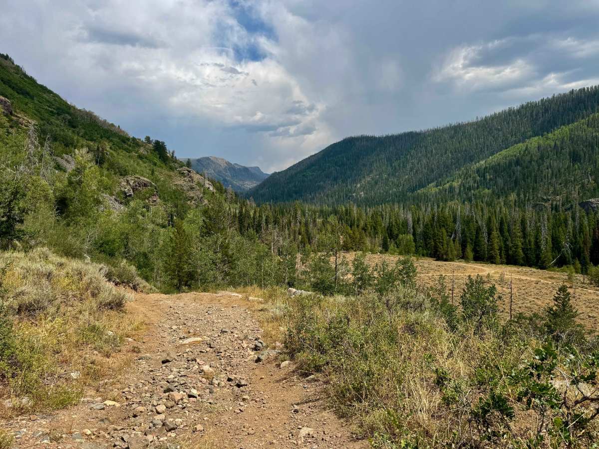 Bowes Mining Road - FS 471 trail photo