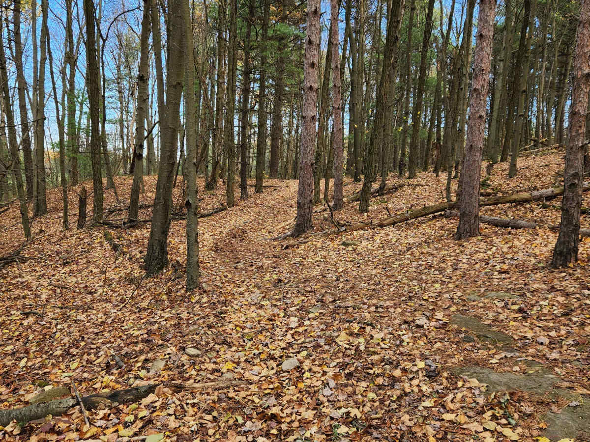 OHV 5 - Rock Run Recreation Area photo 5