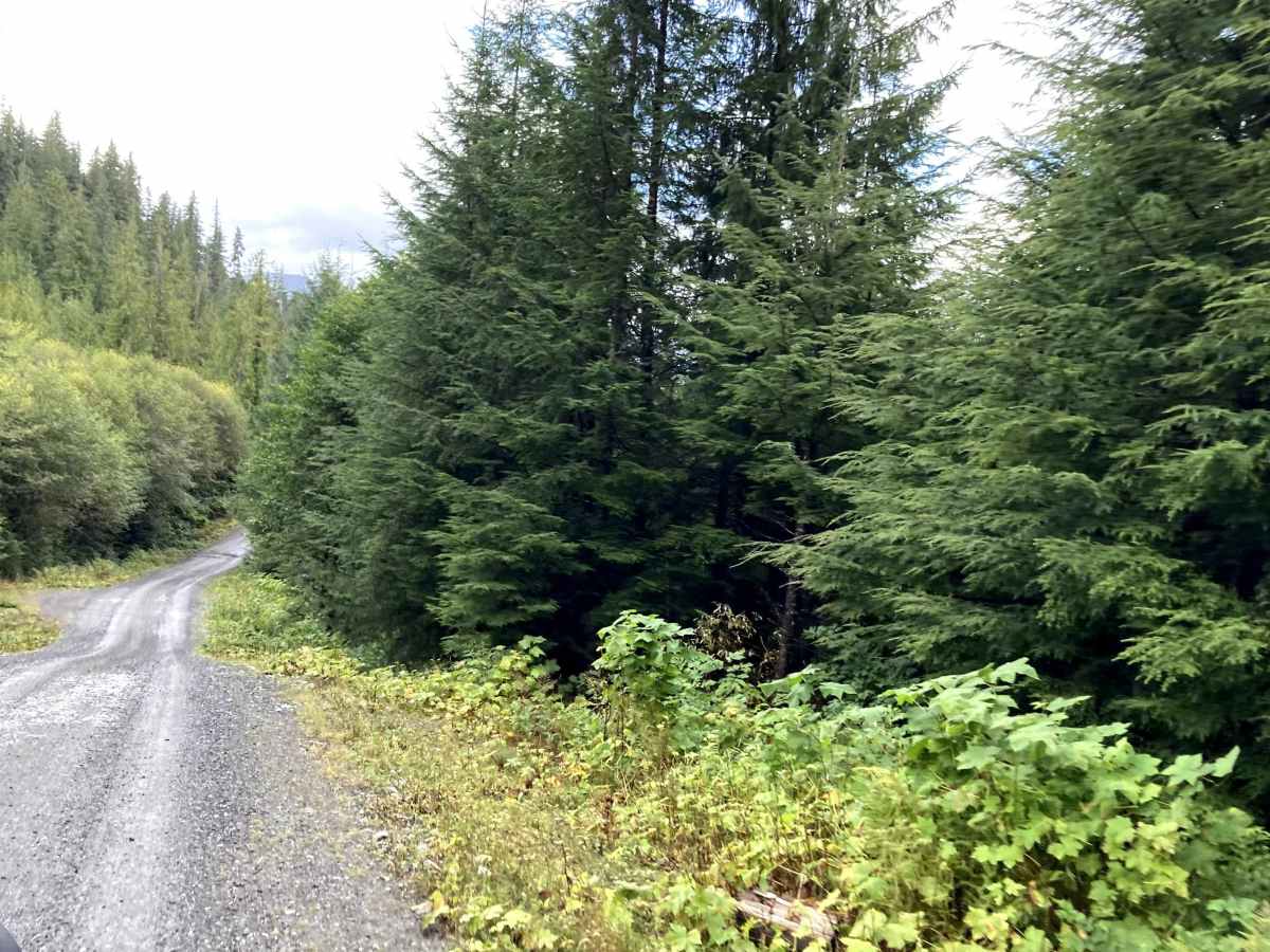 Revilla Road trail photo