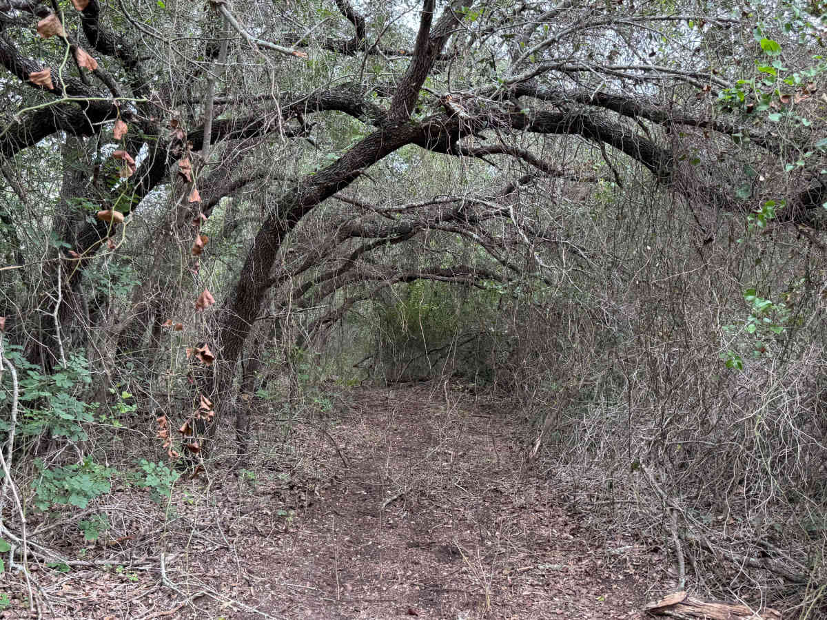 Sleepy Hollow trail photo