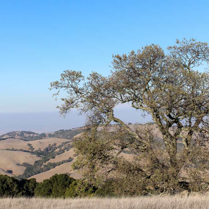 Near Highland Ridge Trail