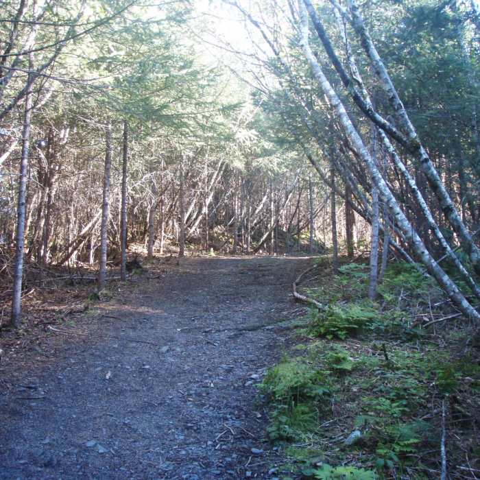 Near Tonsina Beach Hike