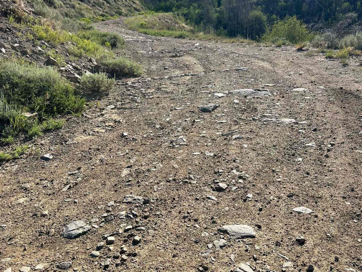 BLM Route 2756 photo 3