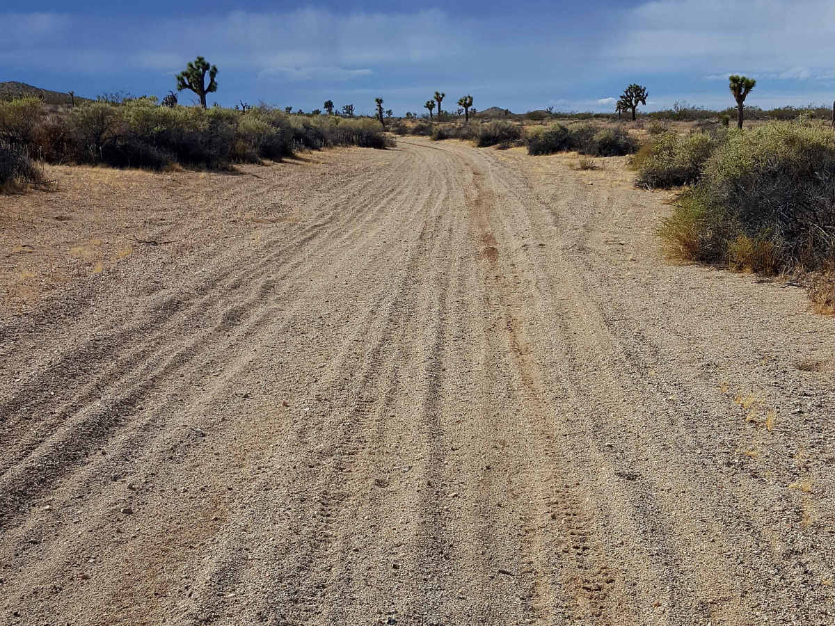 Waldheim Wash photo 4