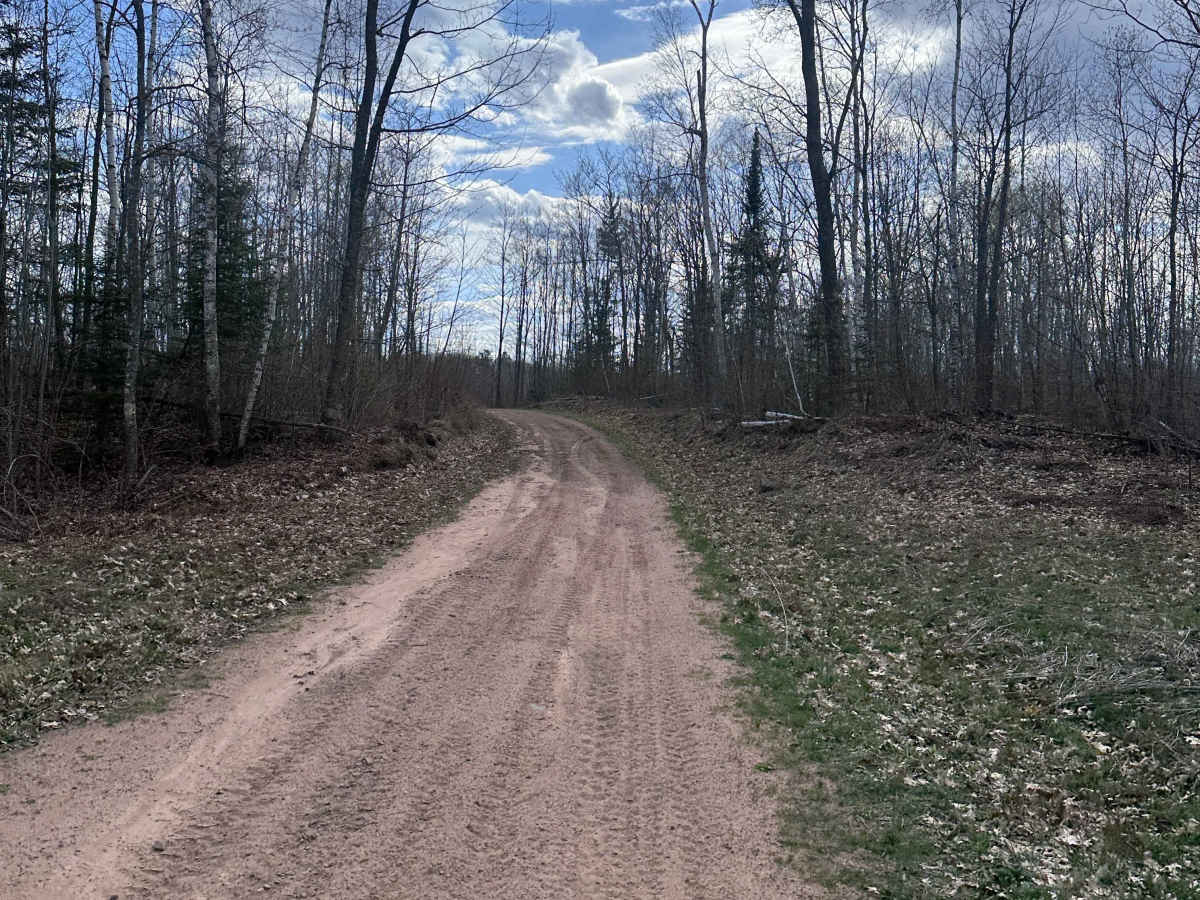 Grouse Forest Road photo 4