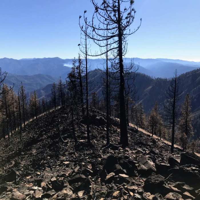 Near Seiad Valley to Crook and Green Pass Trailhead Near Seiad Valley to Crook and Green Pass Trailhead