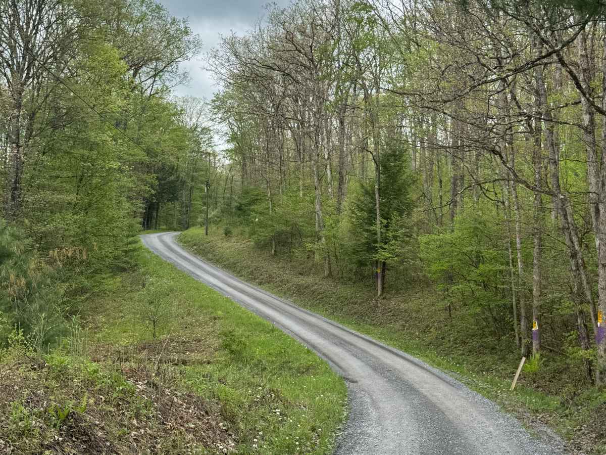 Hensel Fork Road photo 4