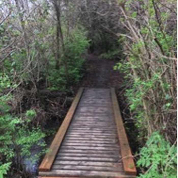 Early spring view of trail Near Arthur G. Rempel Nature Trail
