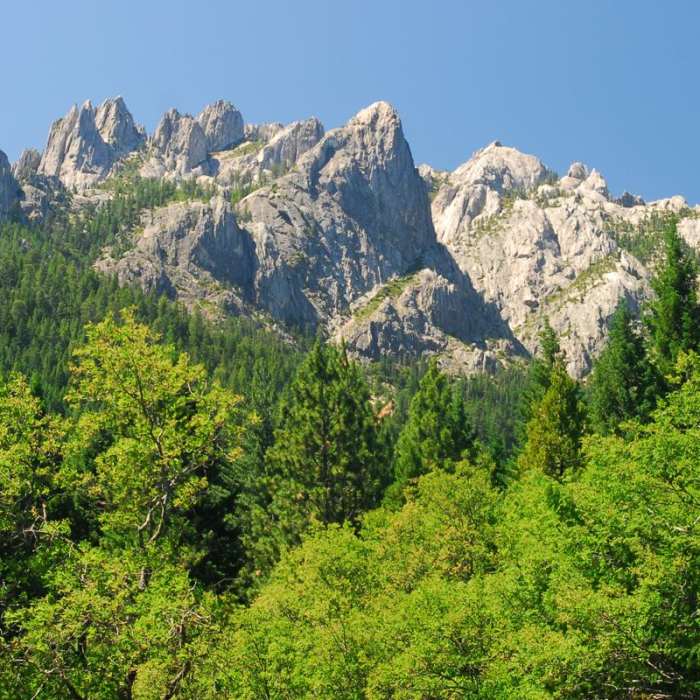 Near Castle Crags Dome Hike