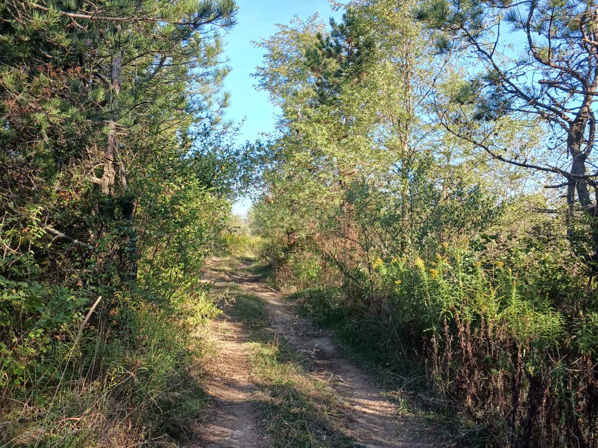 Inner Loop - East - Rock Run Recreation Area photo 6