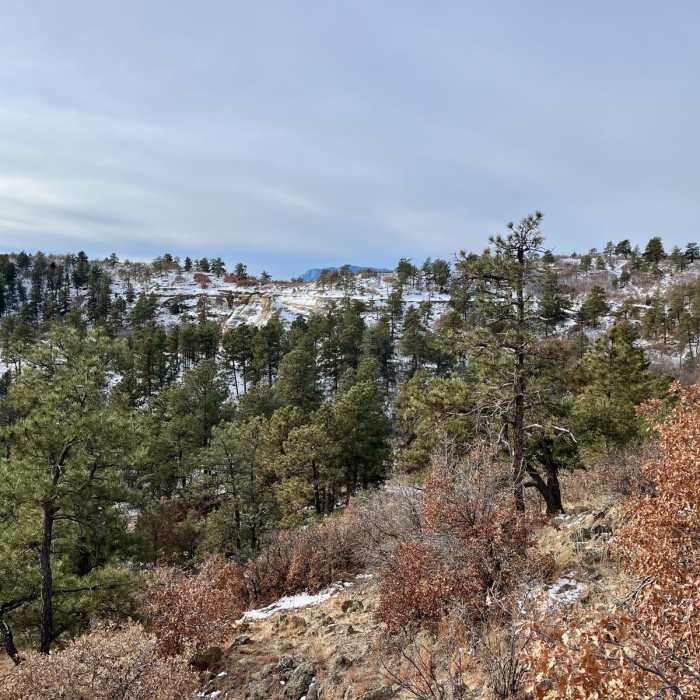 Near Kinnickinnick Trail