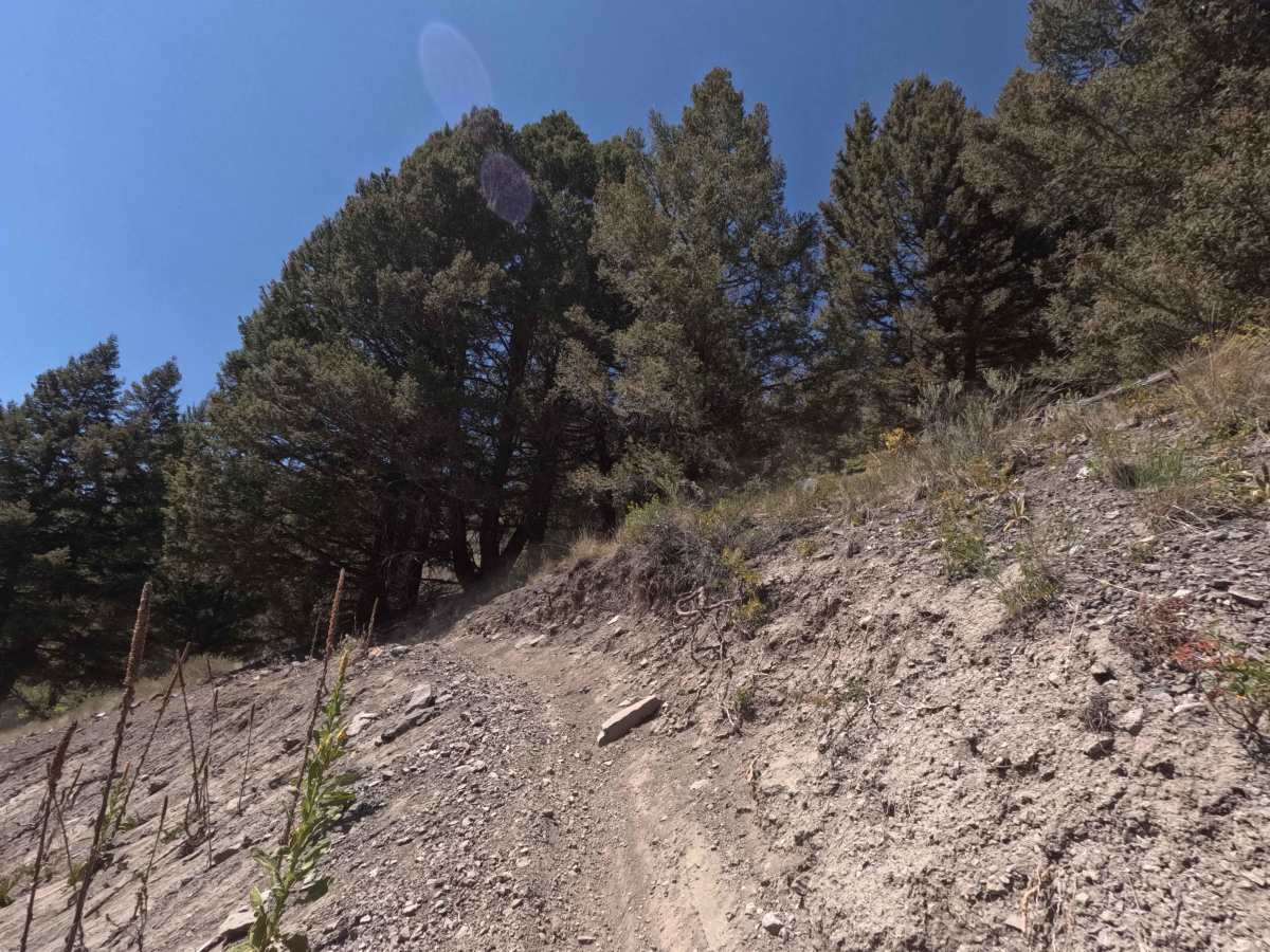 Germania Creek - FS 7111 photo 3