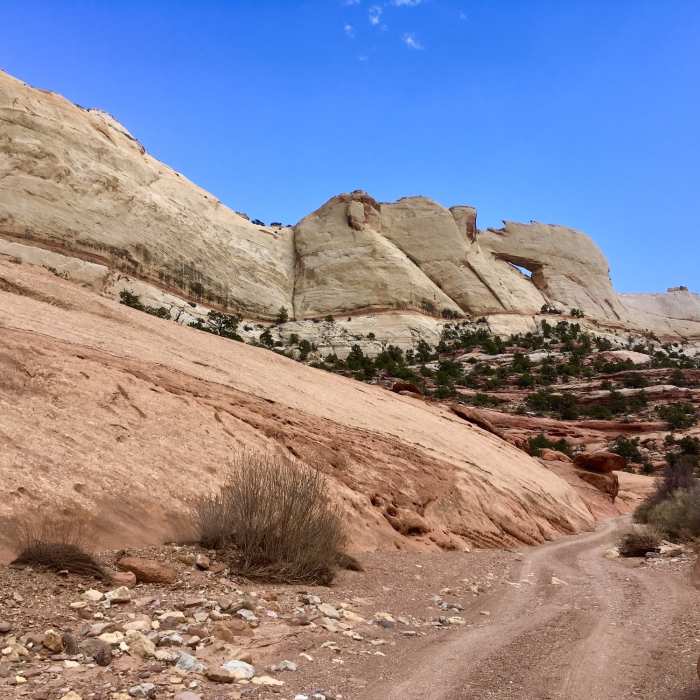This is one of the few arches on the East side of the canyon. The arch can be seen from the Burr trail road as well. Near Upper Muley Twist Canyon Access Road