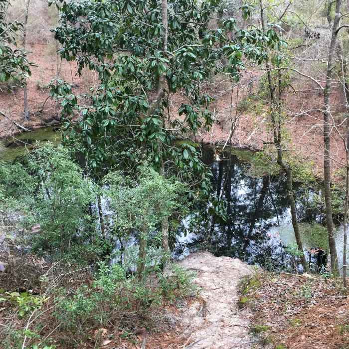 Near Leon Sinks Loop