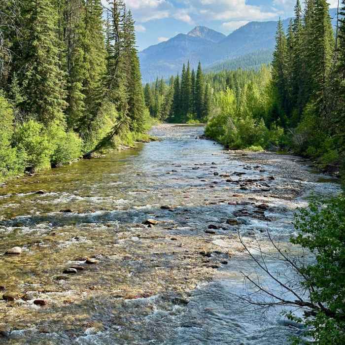 Near Continental Divide Trail: Straight Creek Alternate