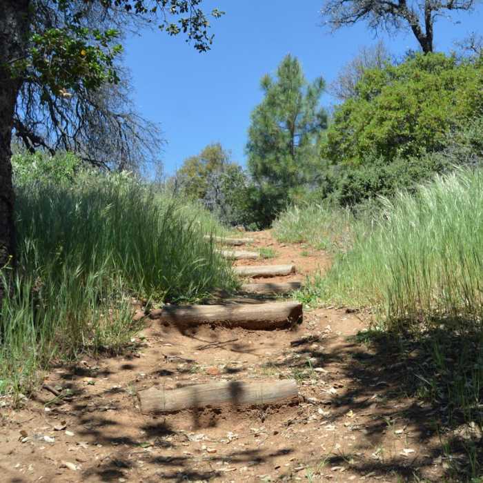 Near Canyon Oak Trail