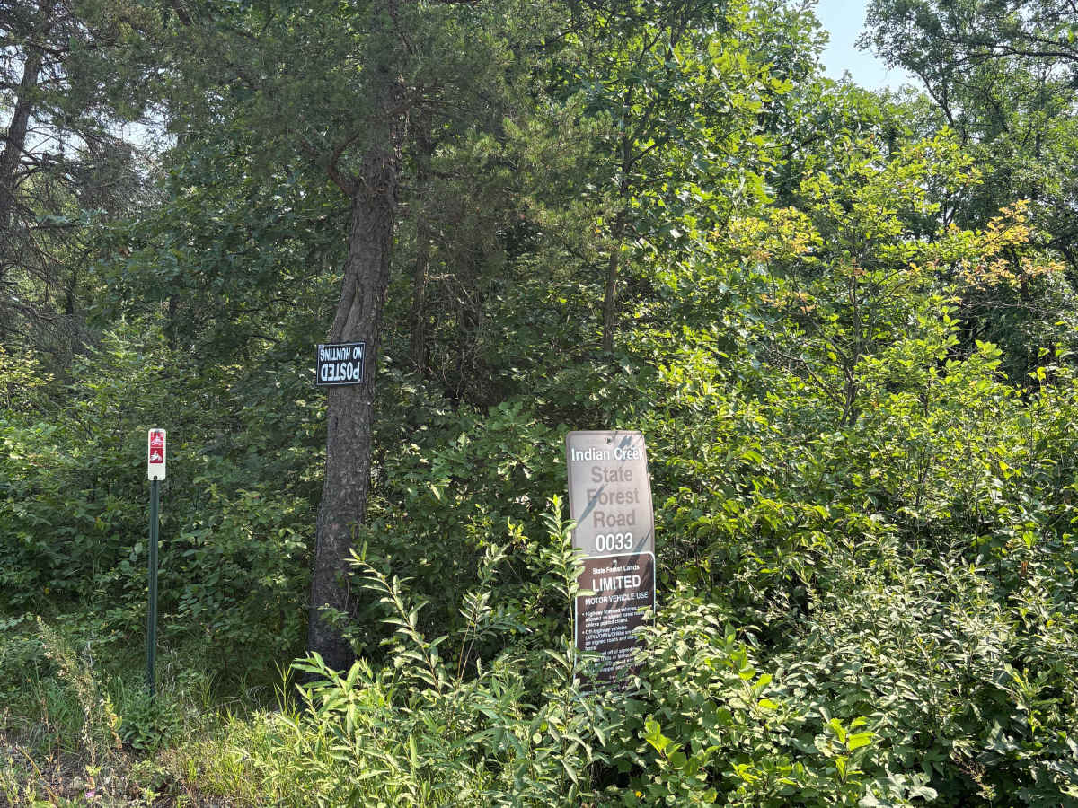 Indian Creek Forest Road photo 2