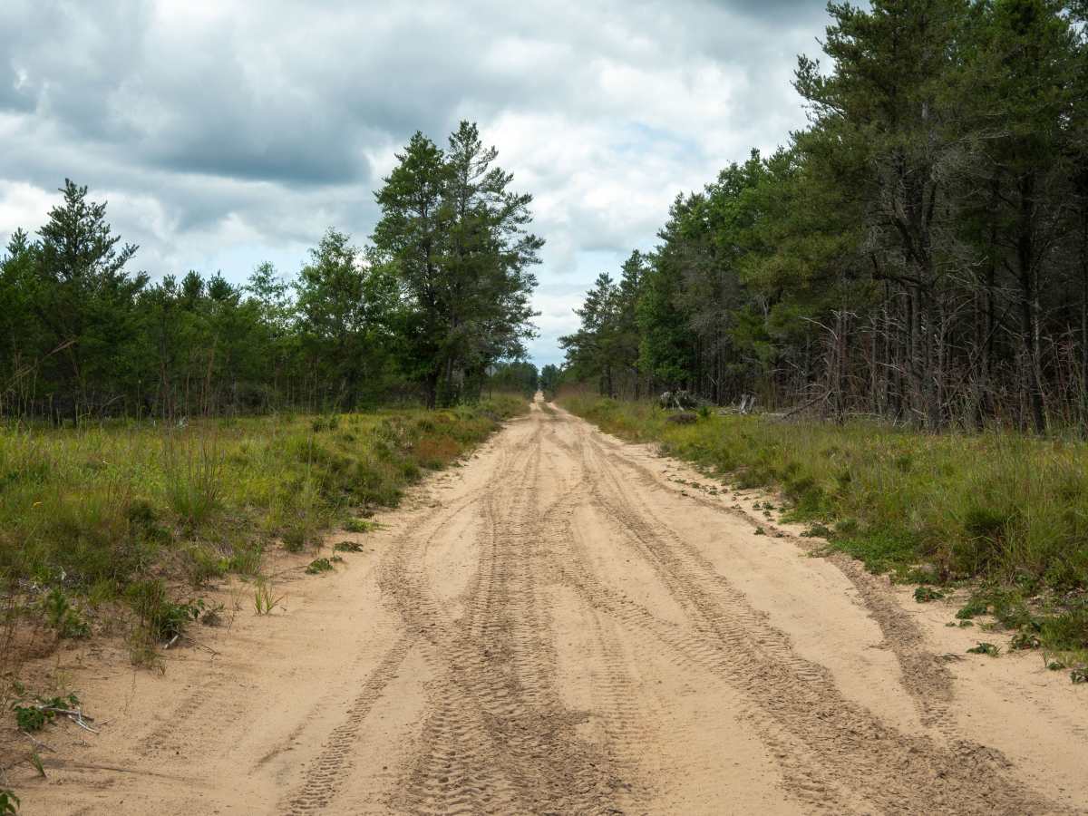 FS 4481 trail photo