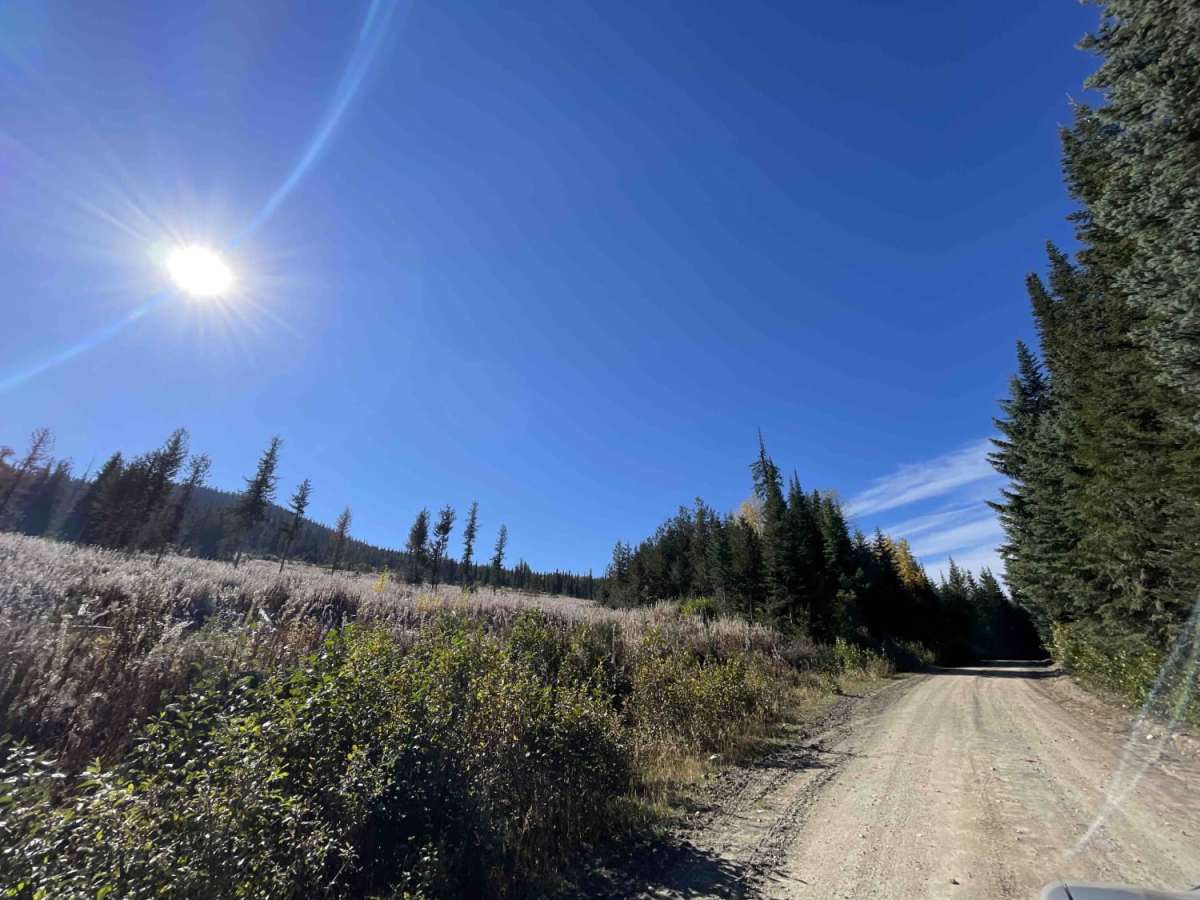 Blair FSR trail photo