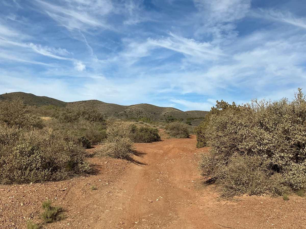 Bc1015 & Bc1213 trail photo