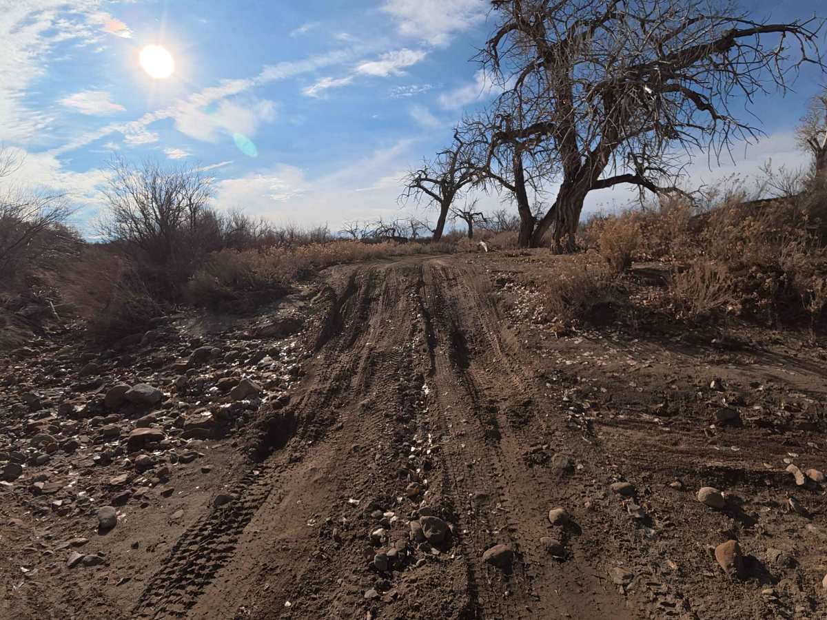 BLM 132 photo 6