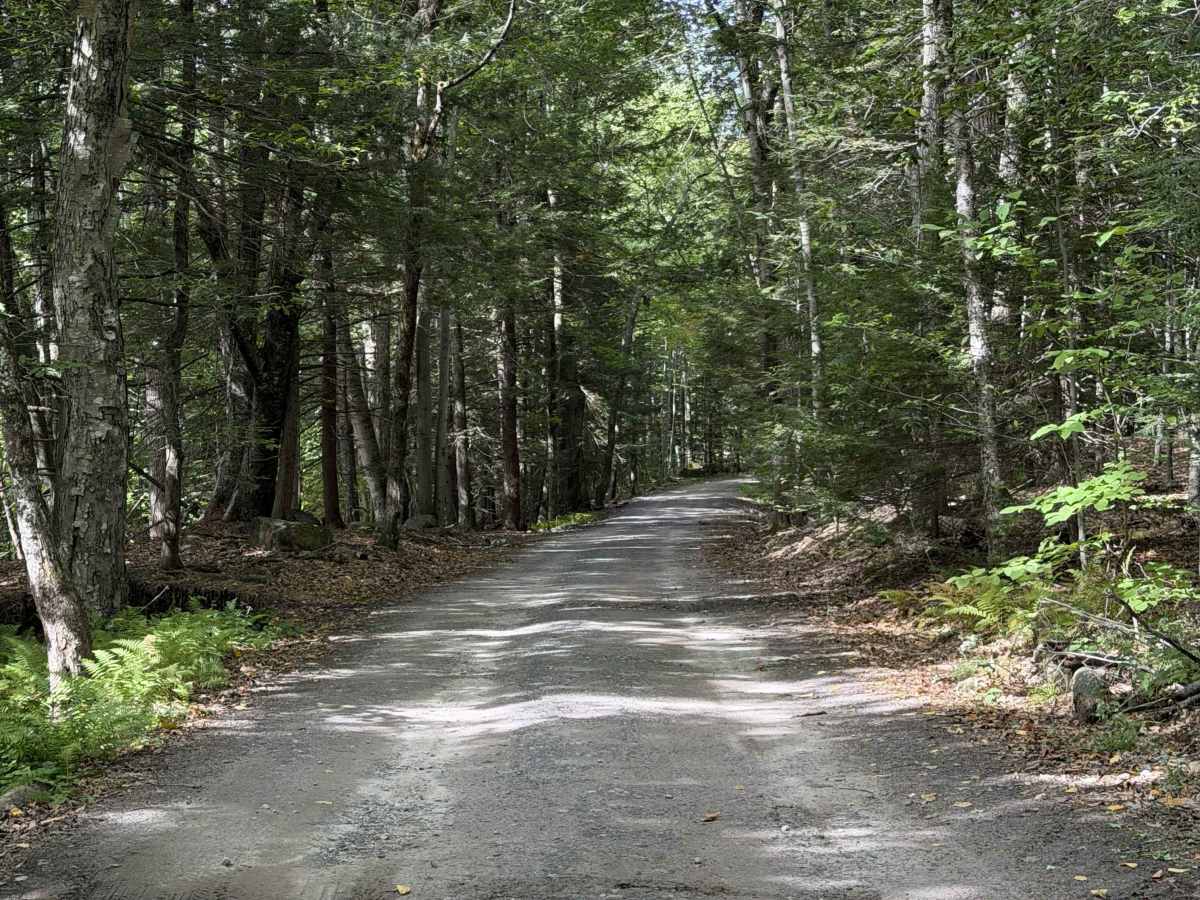 Mountain Road photo 2