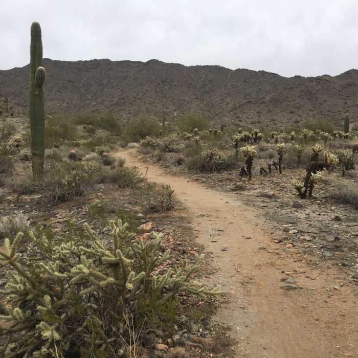 Chuckwalla Trail looking northeast Near Skyline Circumference Trail