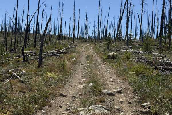 Valley Creek - FSR 4039