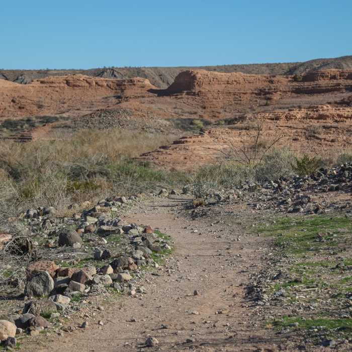 Near Shoreline Trail