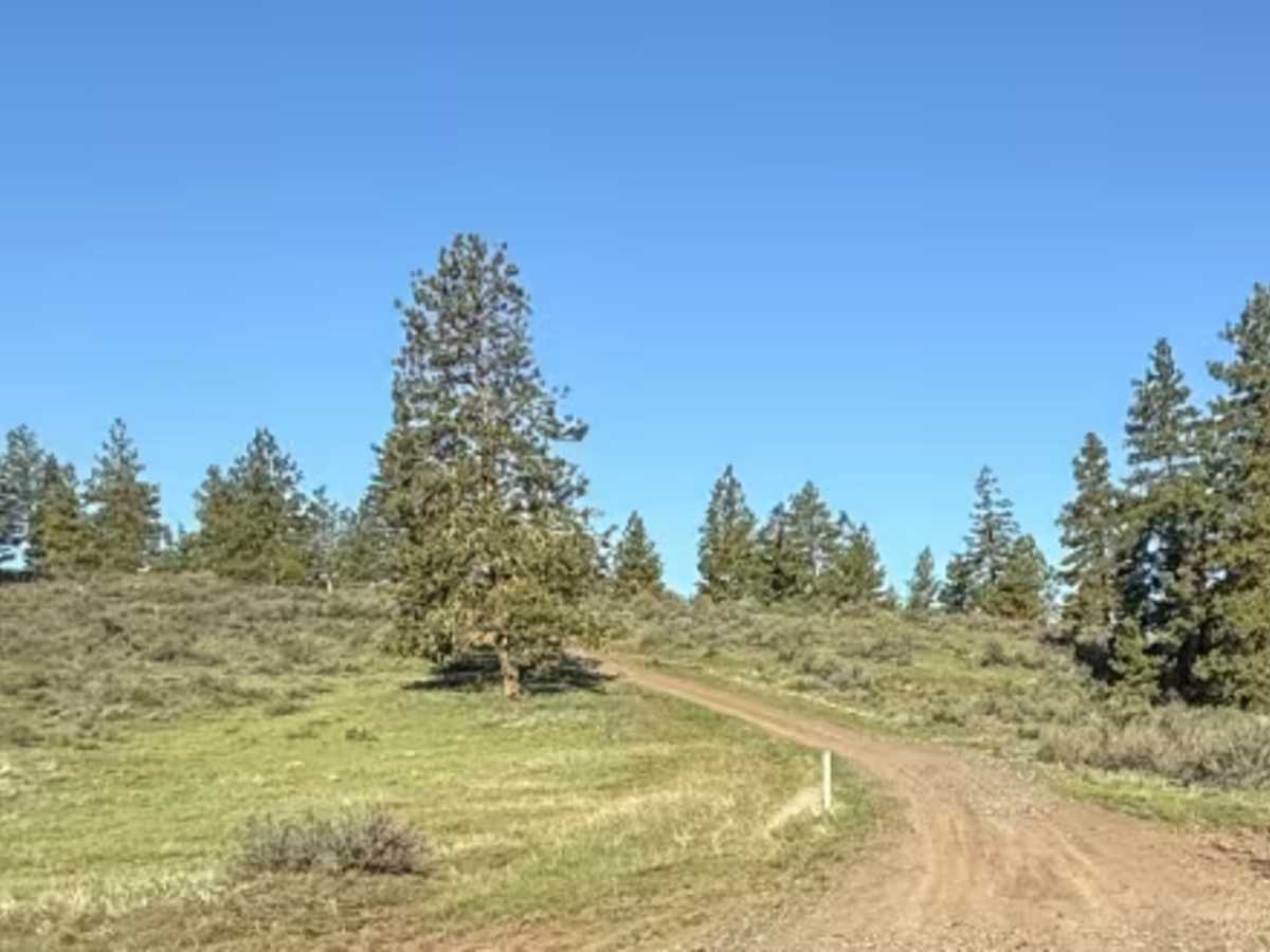 Hanson Pond Road trail photo
