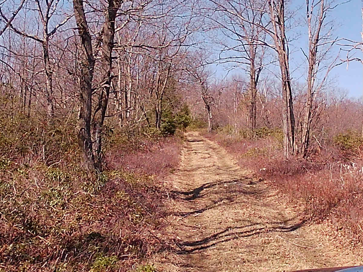Governor's Trail photo 5