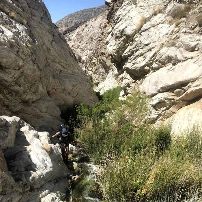 Near Surprise Canyon Trail