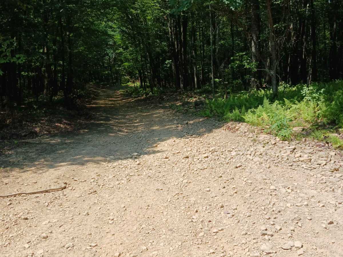Oak Lane - Rock Run Recreation Area photo 2