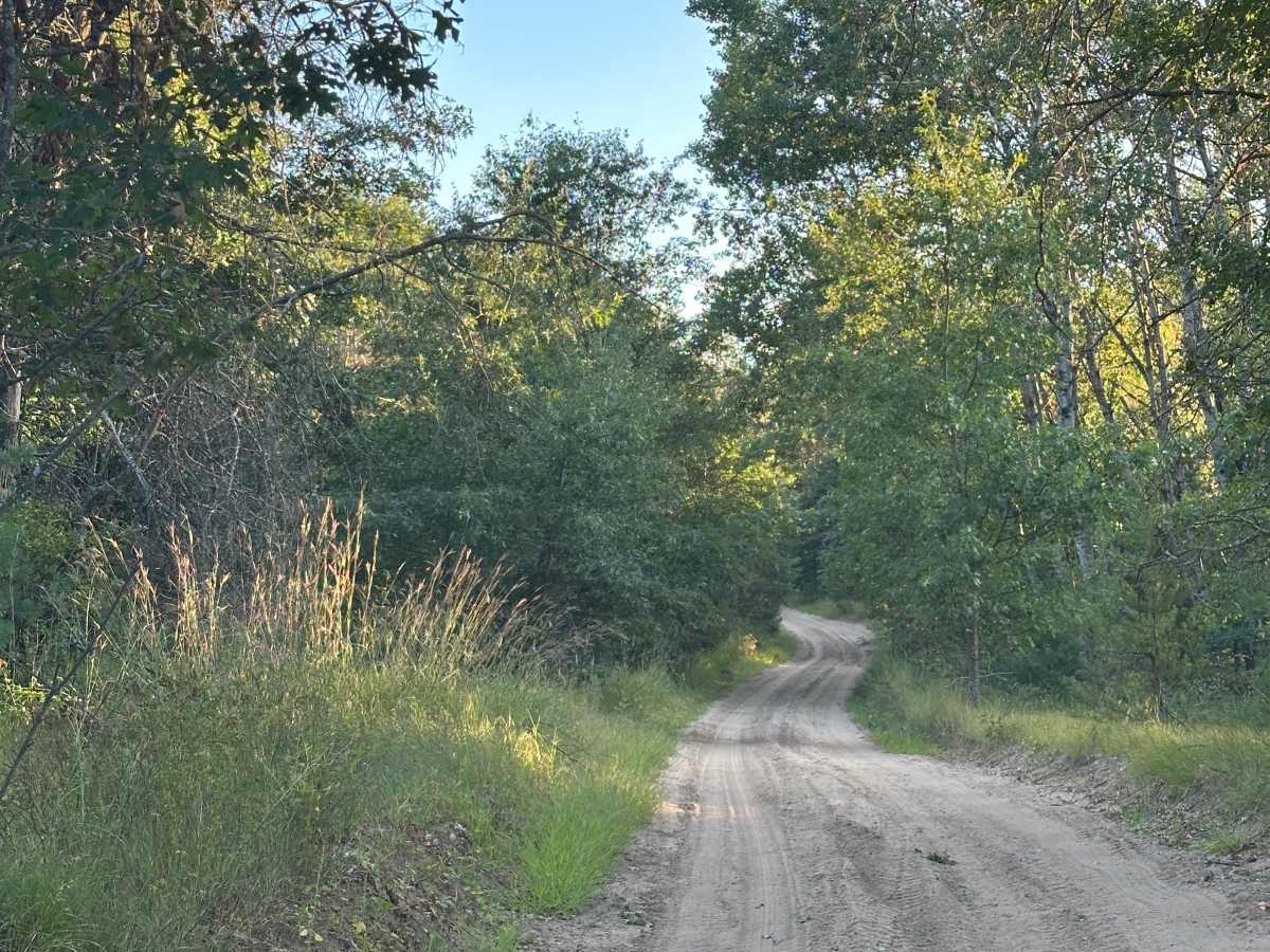 Dorr Road photo 6