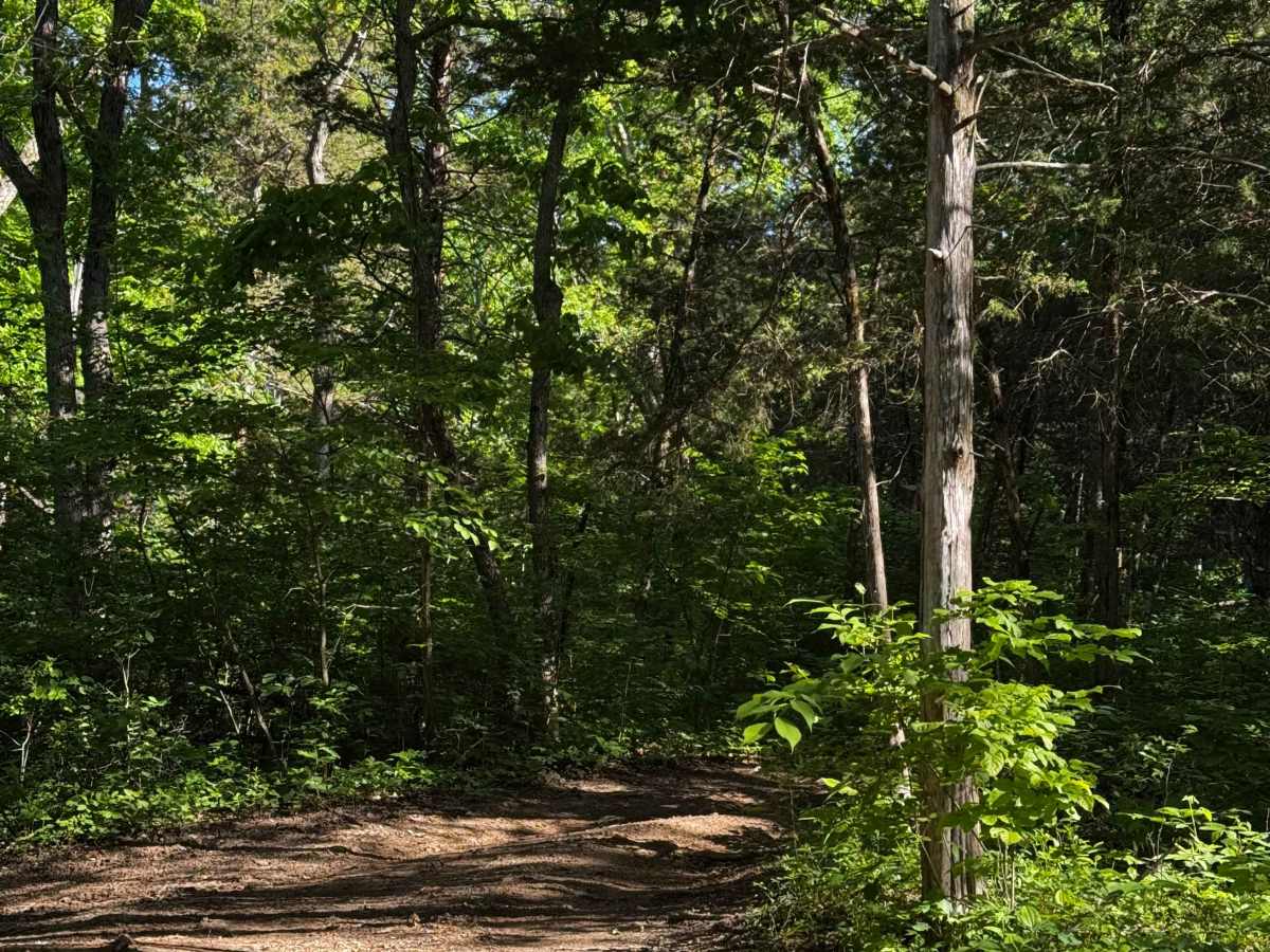 Inner Track 9 photo 3