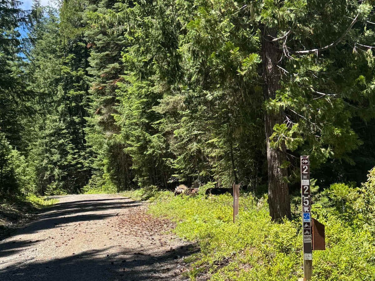 Rabbit Ears - OHV 25 Loop trail photo