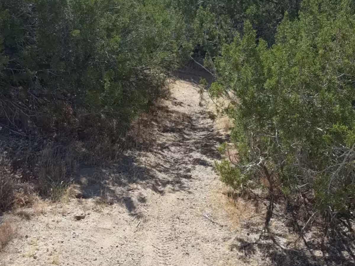 Trail 43 photo 4