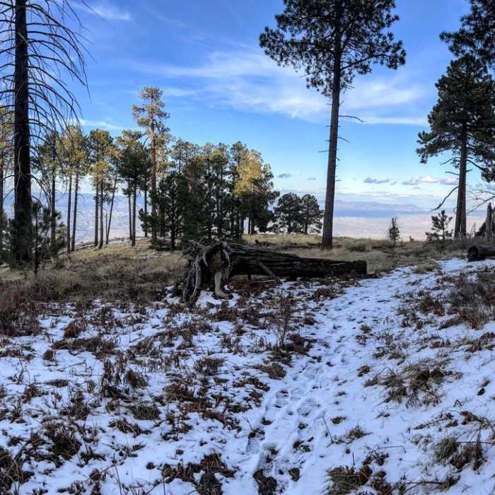 Near Mica Mountain via Italian Spring