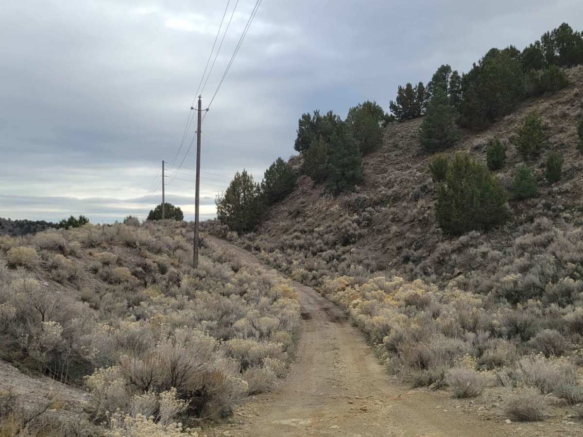 Pinyon Creek trail photo