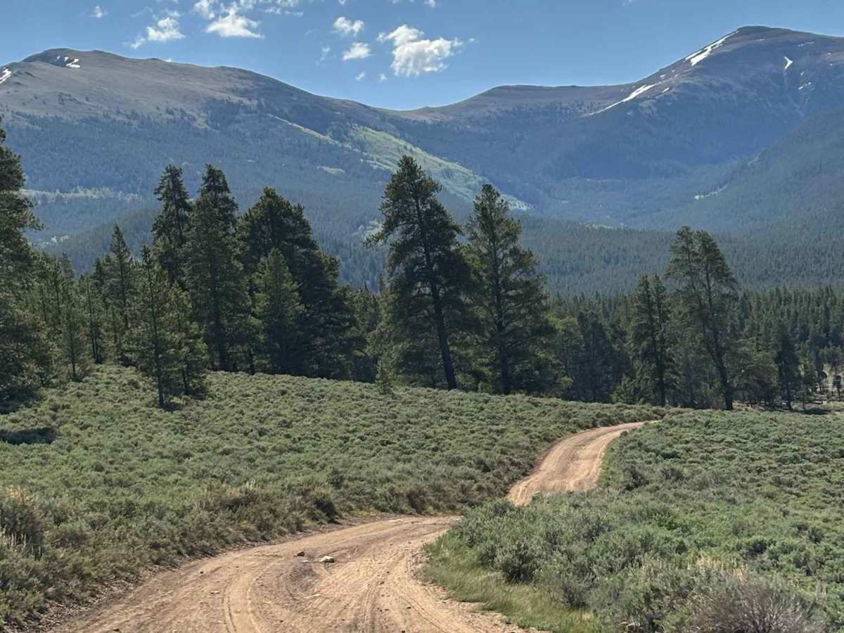 Cow Creek Connector Road trail photo