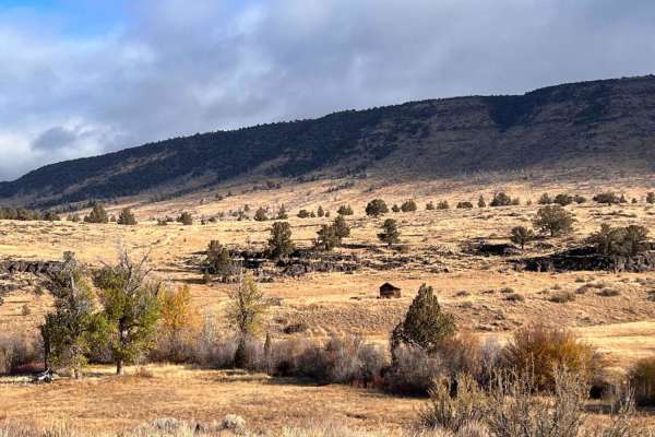 Riddle Brothers Ranch