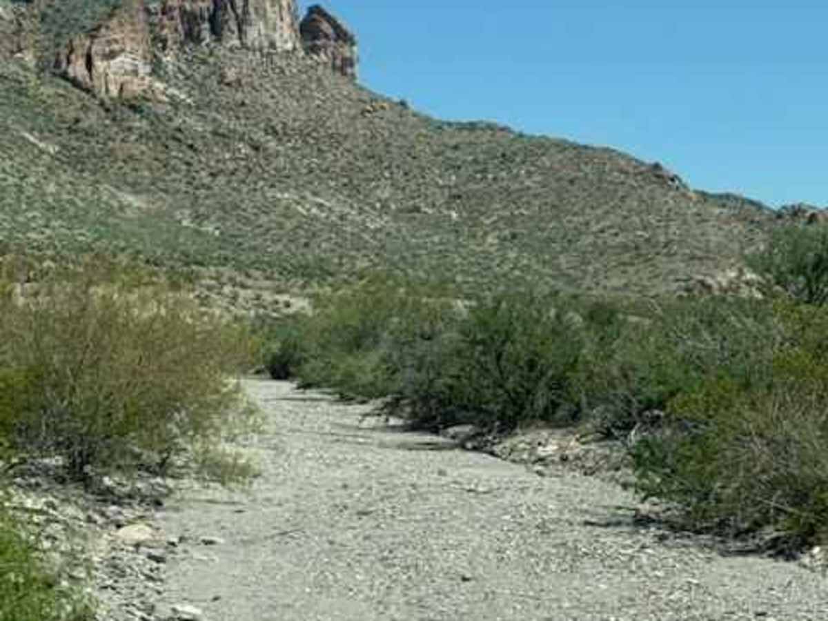 SS1167 trail photo