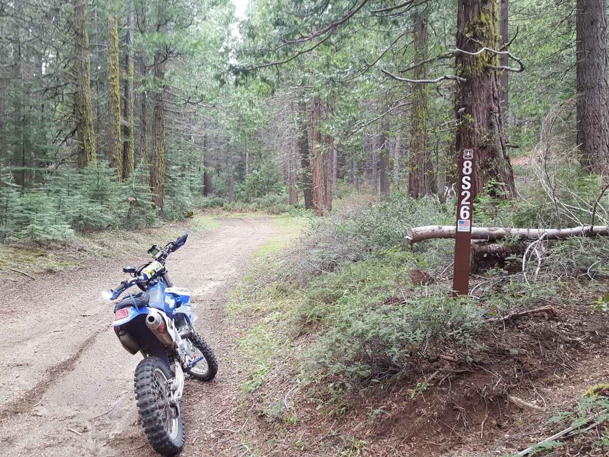 Peckinpah Meadow - FS 8S26 trail photo
