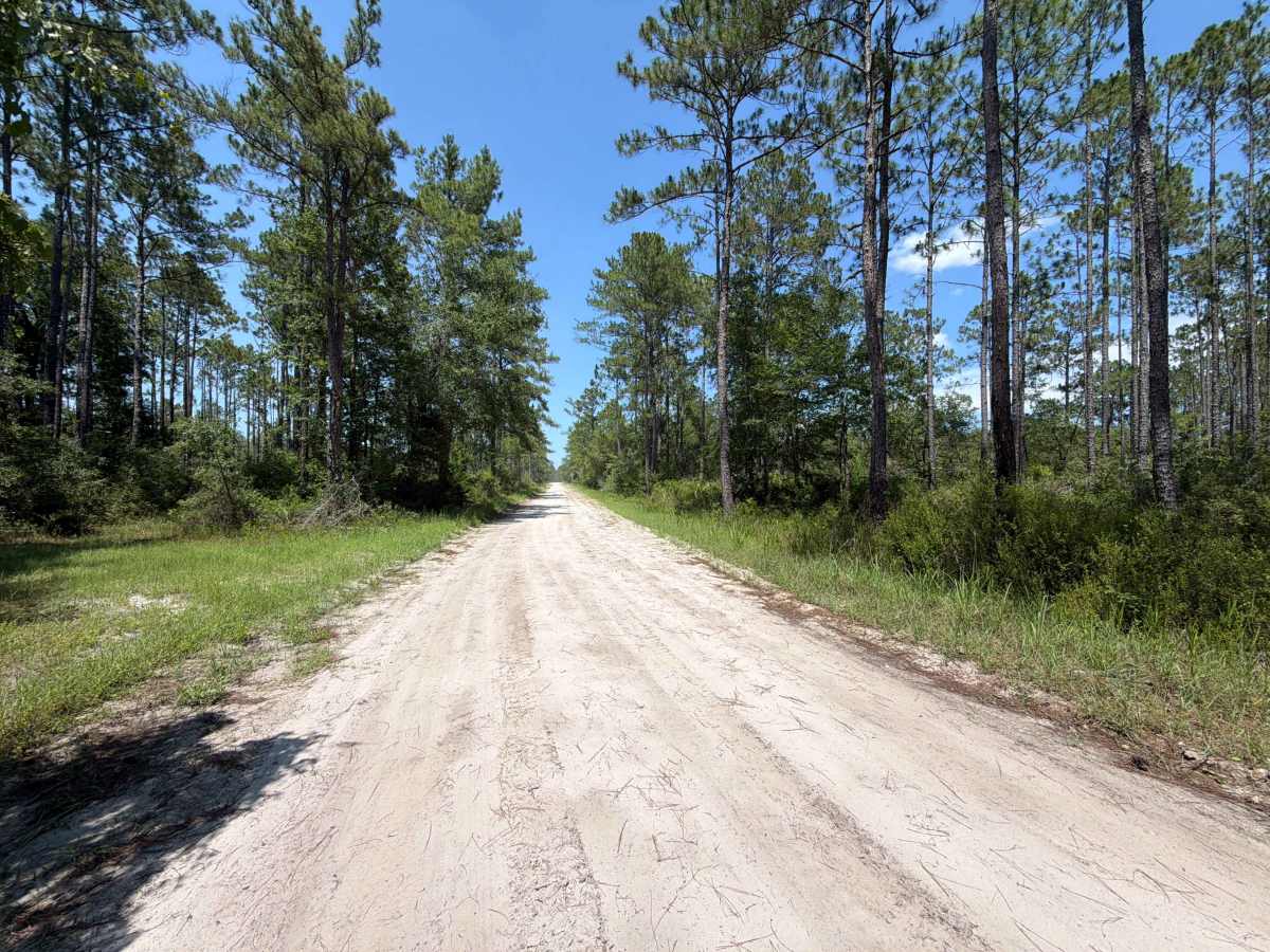 Stephen C Revell Road - FS 343 photo 5