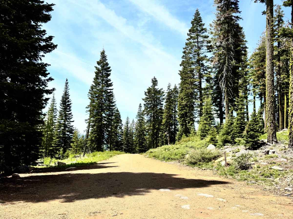 Deer Creek South - FS 28N49 trail photo