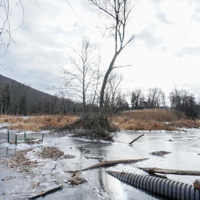 Near Clarence Fahnestock Trail Loop Near Clarence Fahnestock Trail Loop